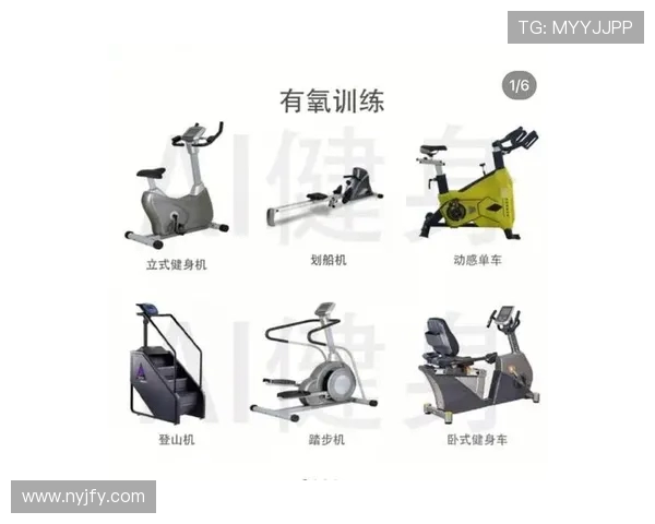 健身器材及设备全景介绍及功能解析