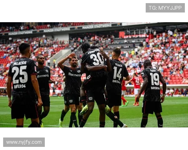 德甲球队助威歌曲：德甲球队的特色助威歌曲与文化